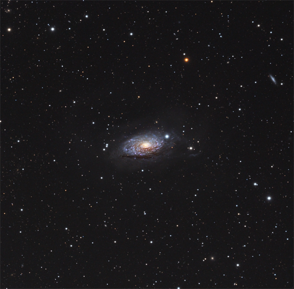 image-8875958-LRVB_NGC5055_M63_600X600.w640.png